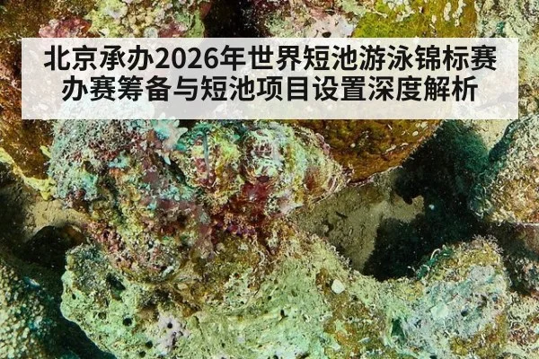 北京承办2026年世界短池游泳锦标赛 办赛筹备与短池项目设置深度解析 - kaiyun