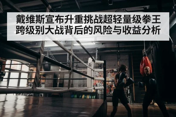 boxer training gym